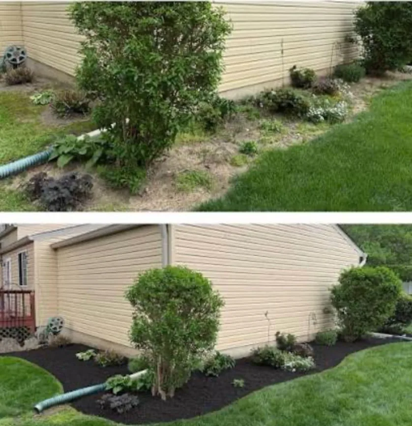 Before and after: weeded, re-edged garden bed with a clean mulch install around the house corner